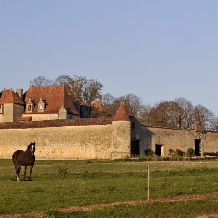 GRAND VERDUS BORDEAUX SUPERIEUR