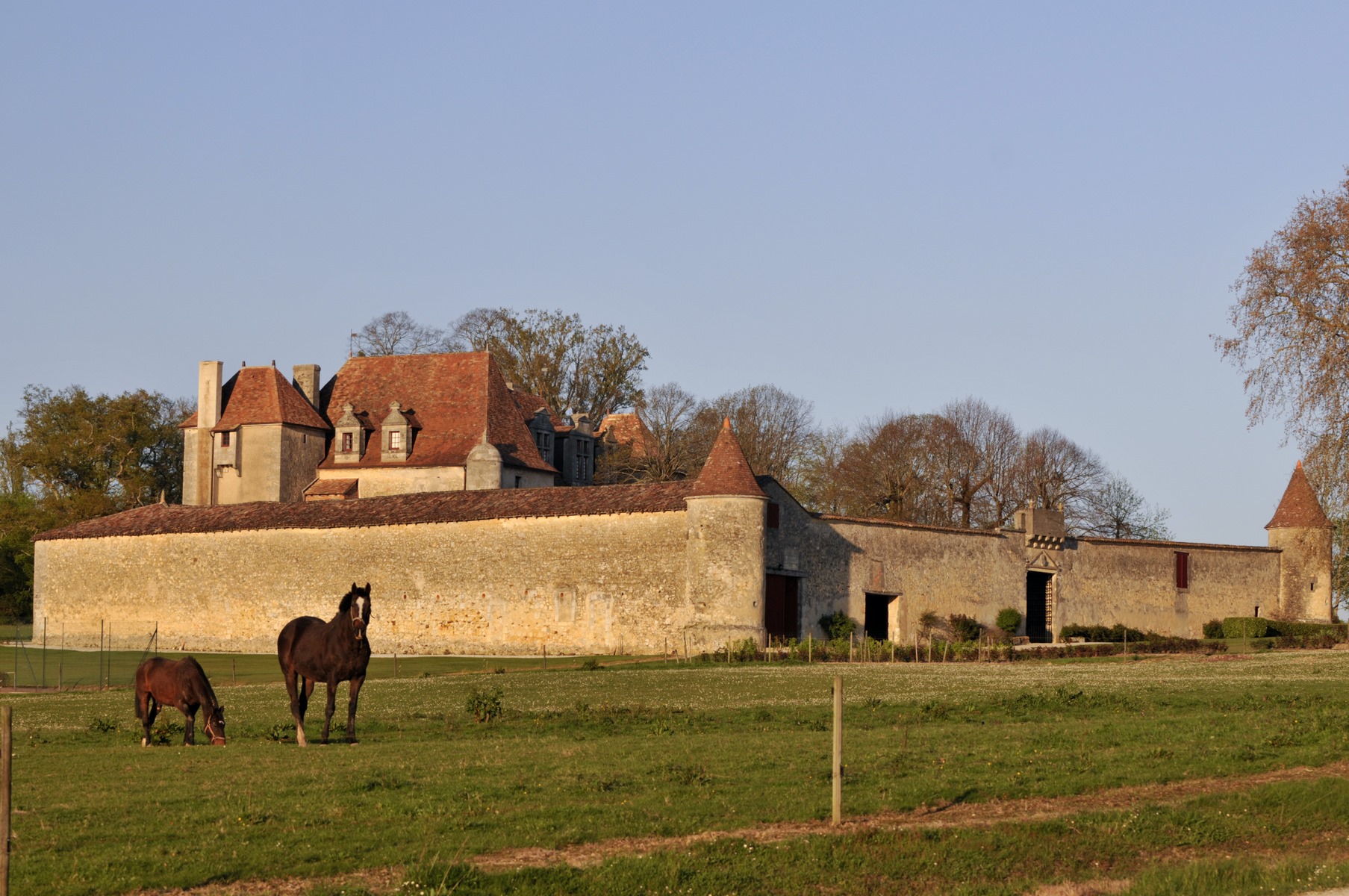 GRAND VERDUS BORDEAUX SUPERIEUR